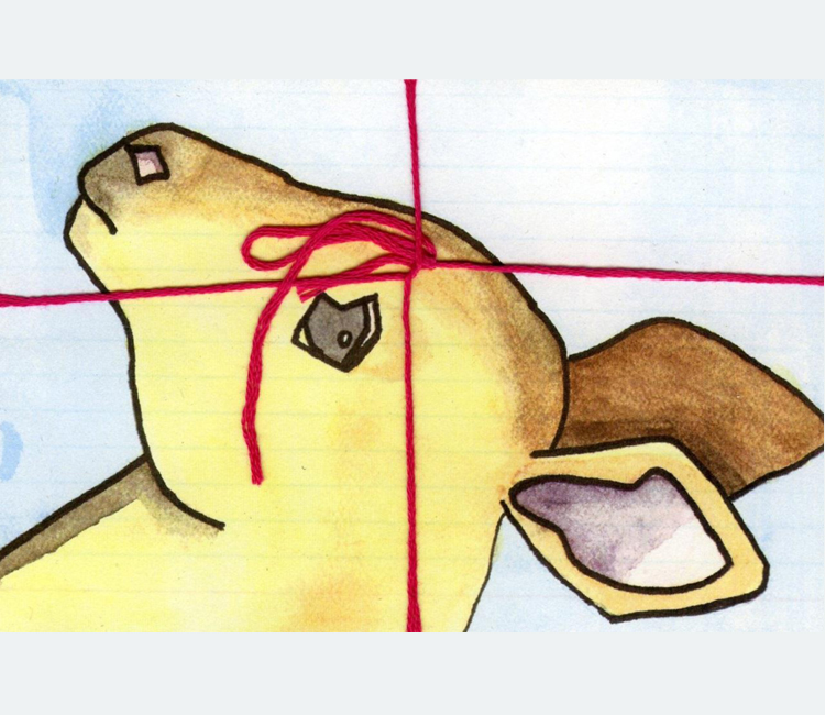 Watercolor painting of a deer's head tied with pink yarn